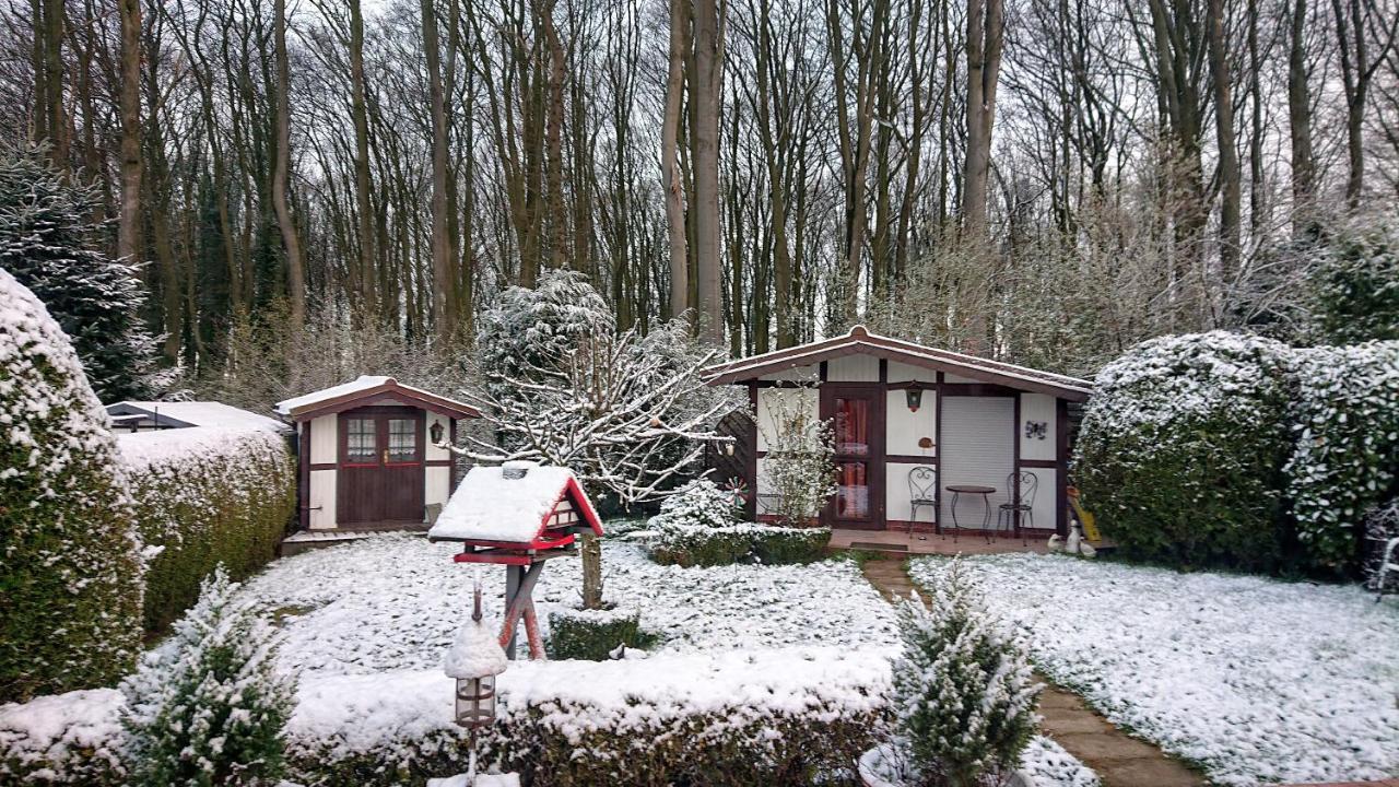Haus im Grünen Villa Billerbeck Exterior foto